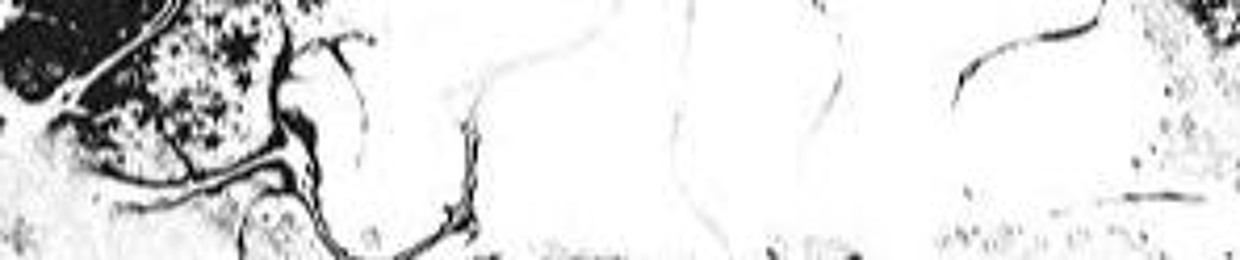 🌙💫~{Ava_A_Dark_Angel}~💫🌙|Ihr lokaler Künstler|