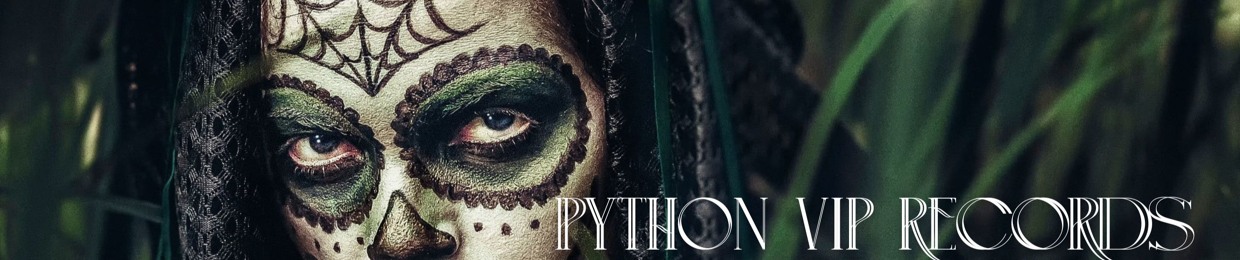 Python VIP Records