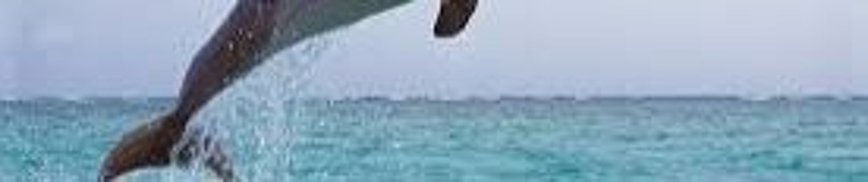 everyone loves raymond part two