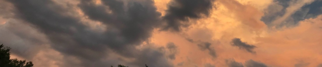 Dusk 2 Dawn Extra Files