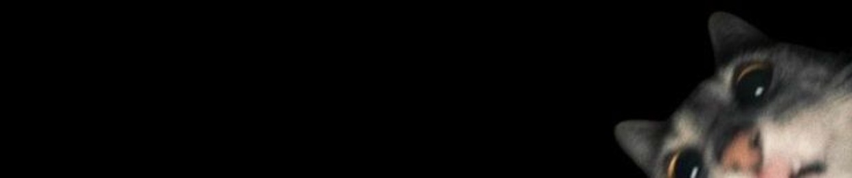 yoyo.