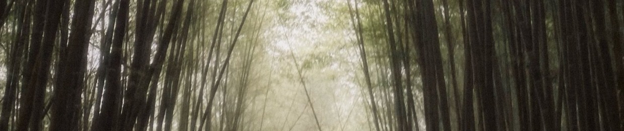 散靈柒 suànn lîng tshit