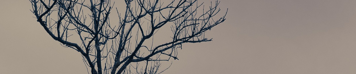 The Inward Fade