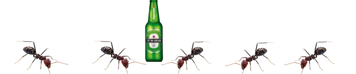 ants with beer