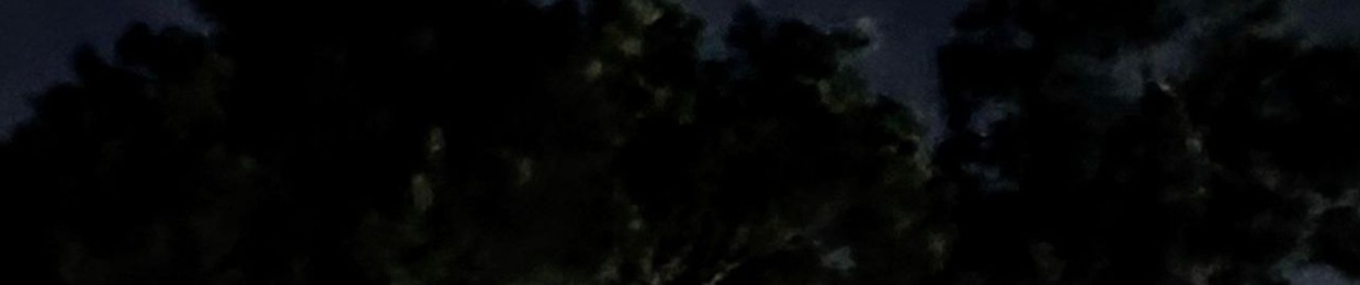 stillveil