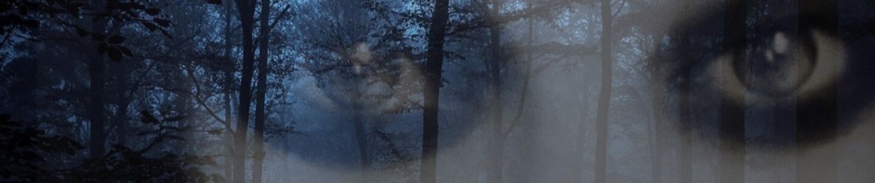 Stina Crow