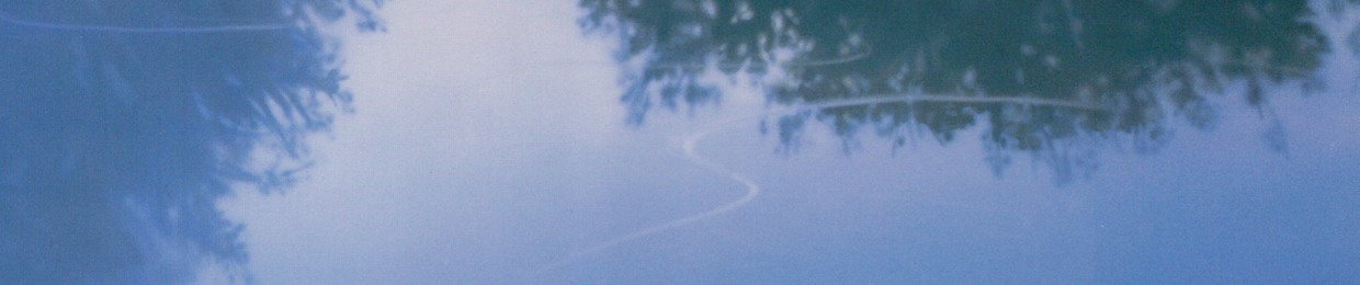 Subsurface