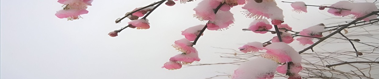 noaq | #следынасилия