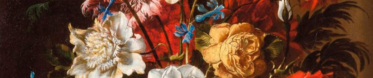 WARNER BROS. SHELLYBEACH UK+