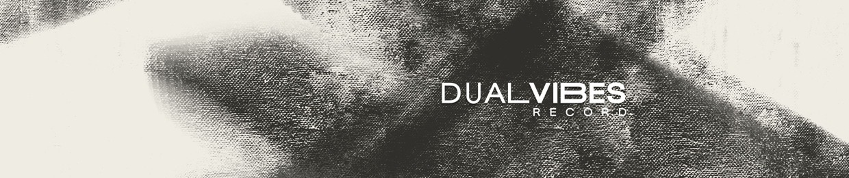Dual Vibes Record