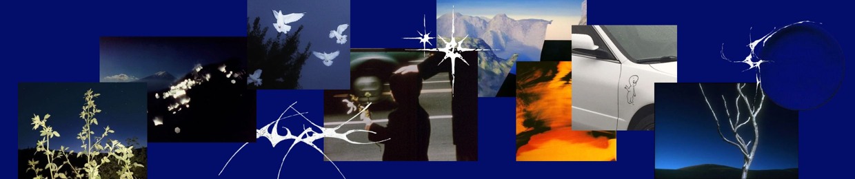blau__archive