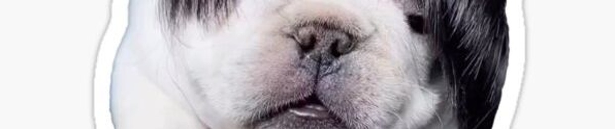 Sofia Rodriguez Hernandez