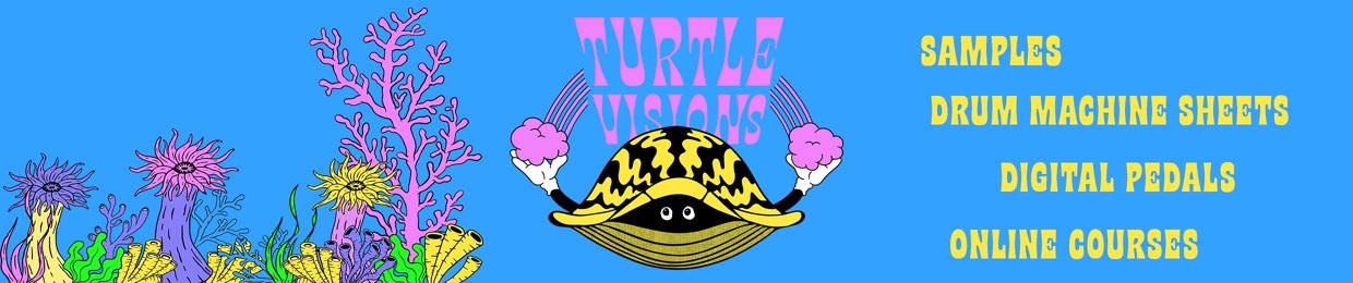 Turtle Visions
