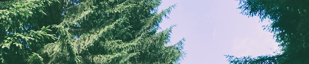 The Clandestine Bicyclist