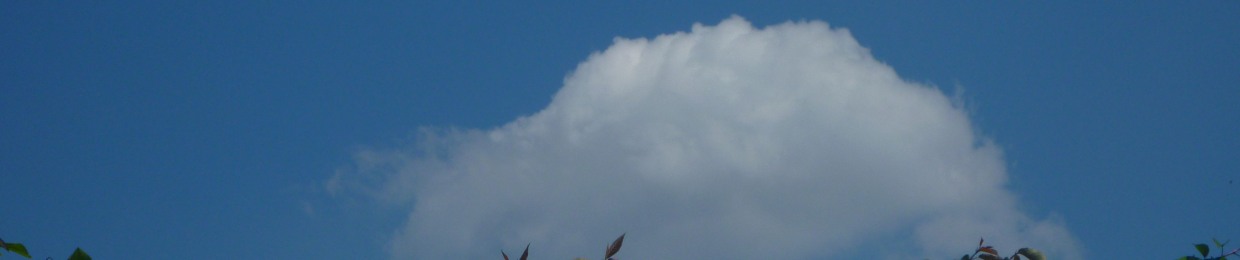 Amine's Workshop - です