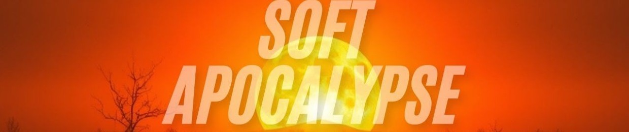 SOFTWARE APOCALYPSE