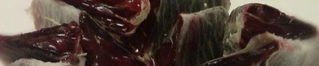 ⓝⓞ ⓢⓞⓒⓘⓐⓛⓘⓩⓞ