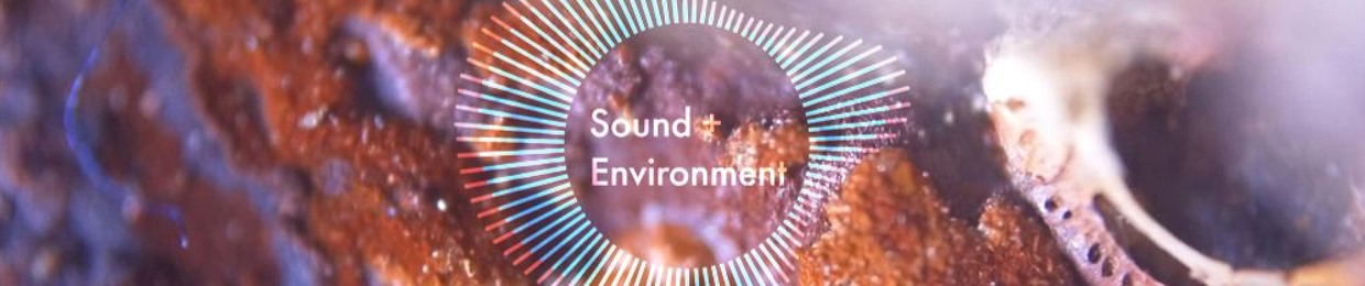 Sound + Environment Research Group