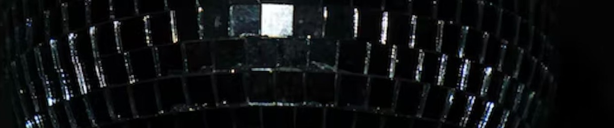 Leopard Skull Disco Ball