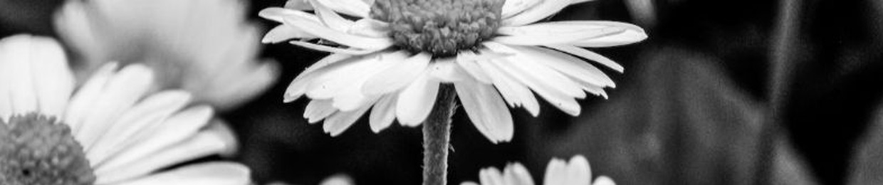 ˖ ᡣ𐭩 ⊹ ࣪Ins0mnia˖ ᡣ𐭩 ⊹ ࣪