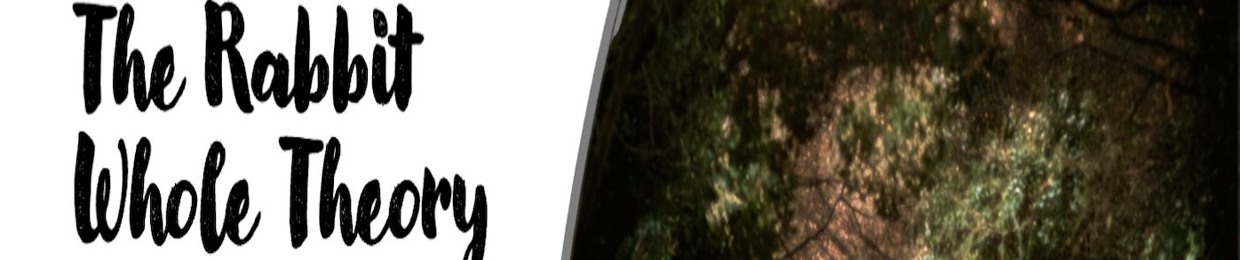 The Rabbit Whole Theory