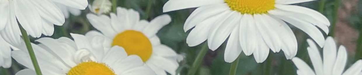 비밀