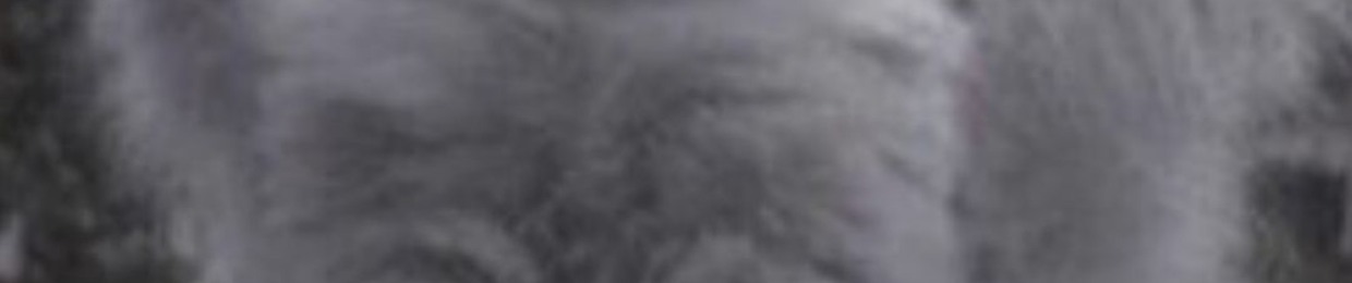 Раиль Тухфатуллов