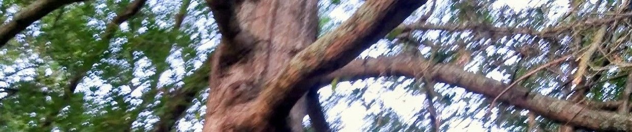 soniclithiumofficial