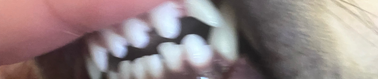 Gnawed