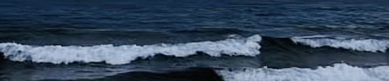 Y97