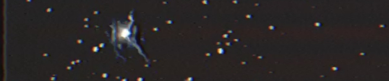 Pdxcd