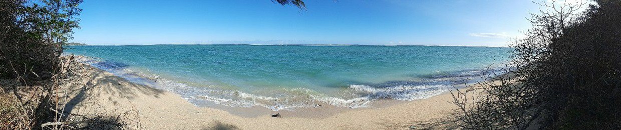 Charles Flo Jean Daniel