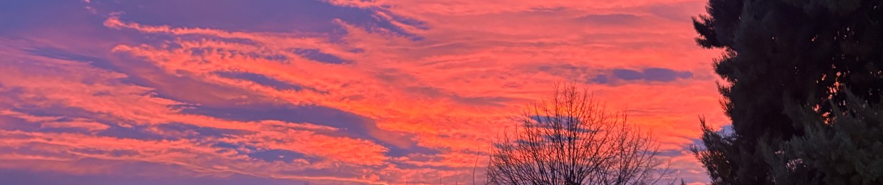 C̷o̷s̷t̷a̷n̷o̷s̷t̷r̷a̷