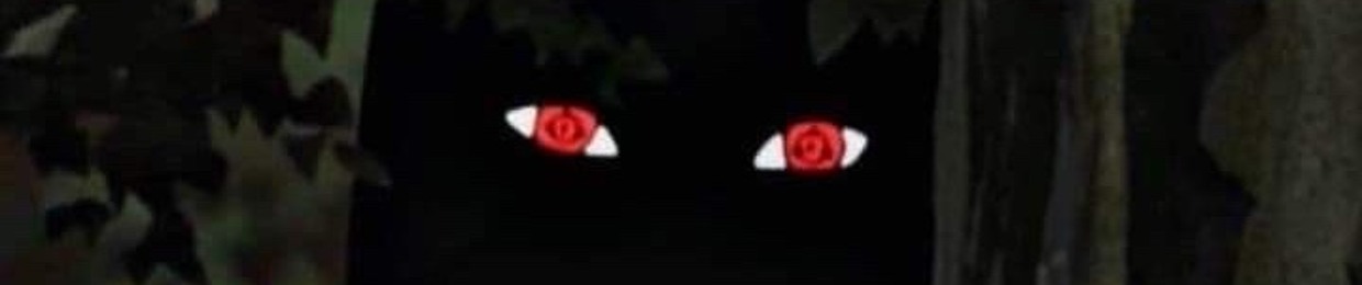 HD
