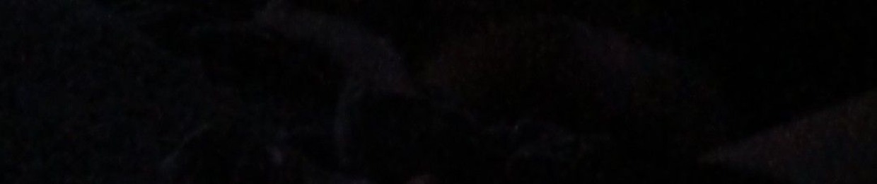 userr