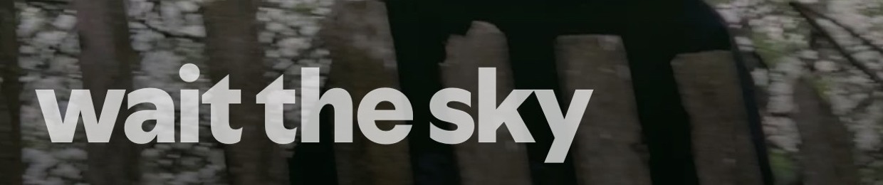 wait the sky