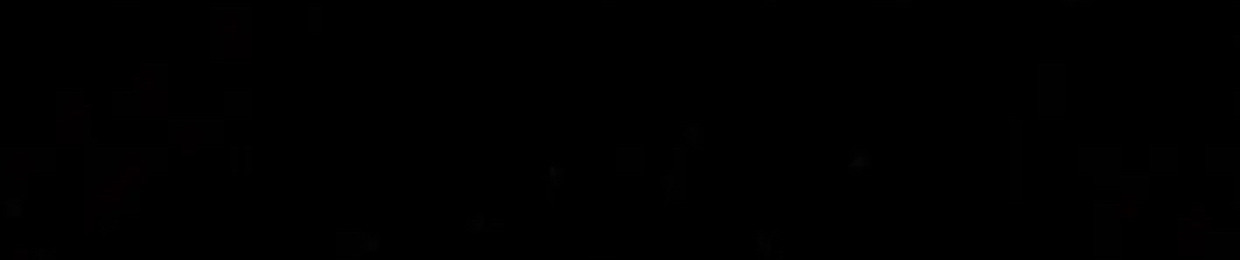 diegoisemo