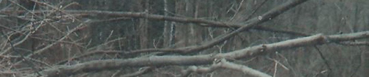 𝔈𝔐𝔐ℑ𝔈𖤐