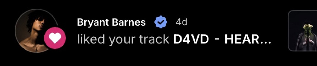 THE D4VD LEAK SYSTEM