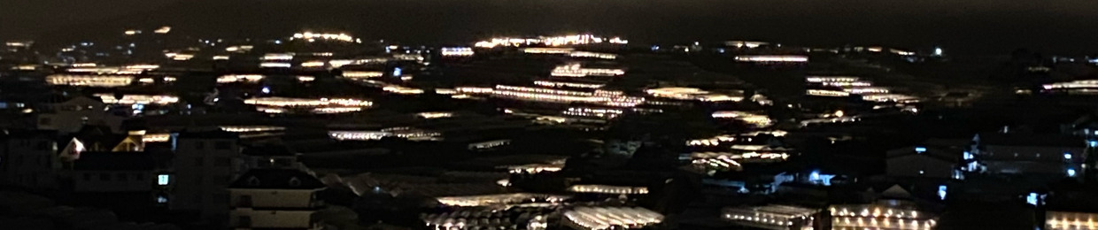 Nguyễn Đình Bình An