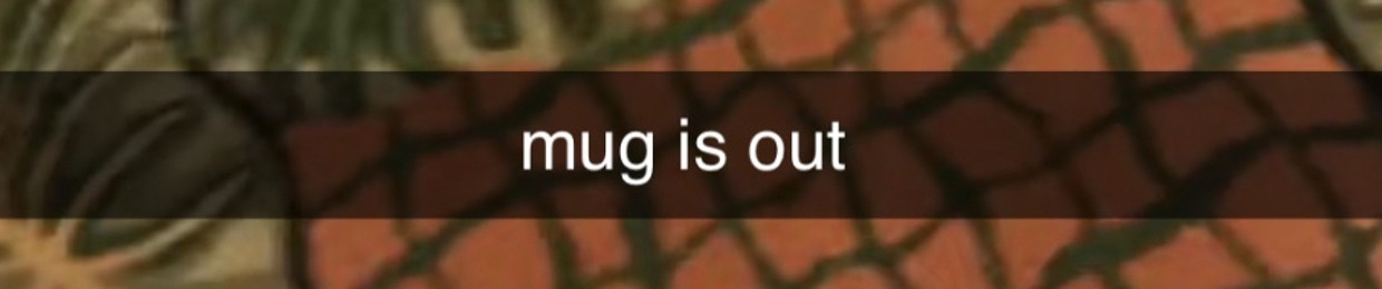MUGspinz