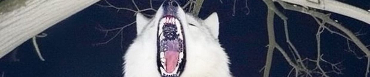 Whitëruskii
