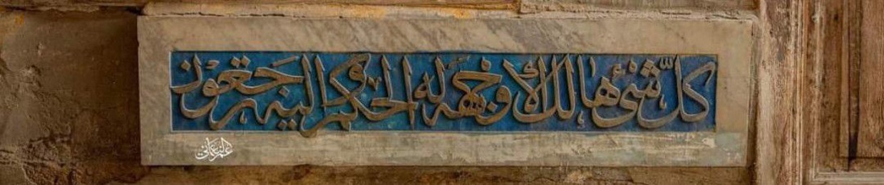 مي زاهر