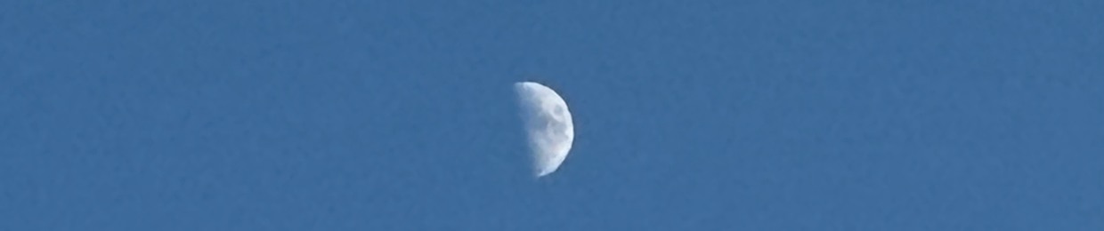 Scherisca