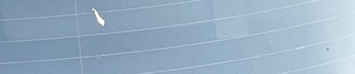 No_good