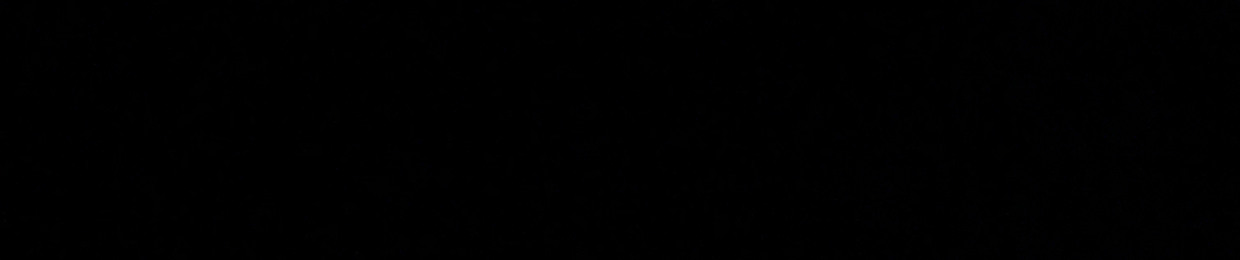 февральский кот