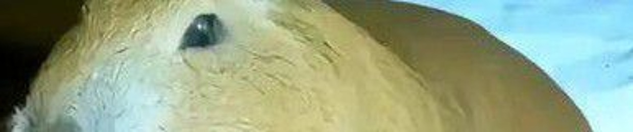 SanyaLutiy👅👅👅👅👅👅👅👅👅👅👅👅👅👅👅