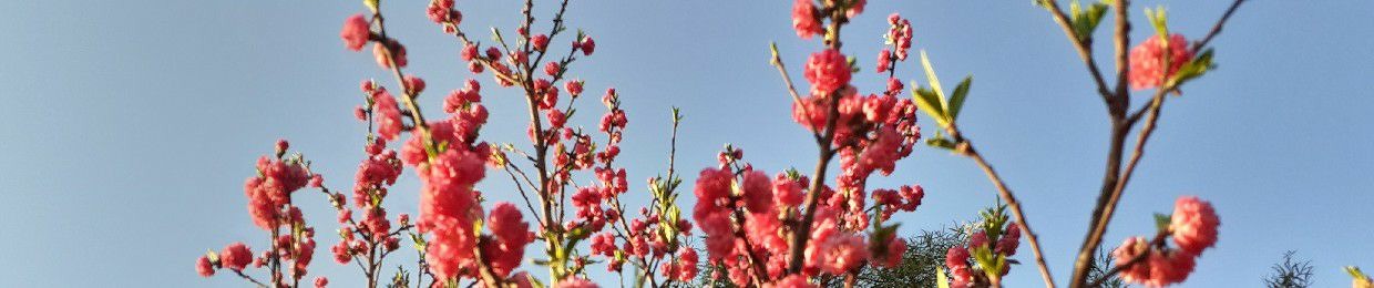 Two Lost Angel's Discover Salvation