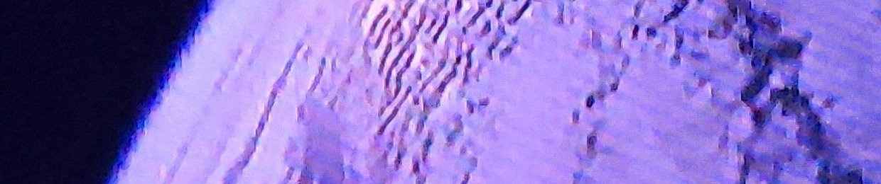 LAKESIDE ™️ Mark Adam Wood Group