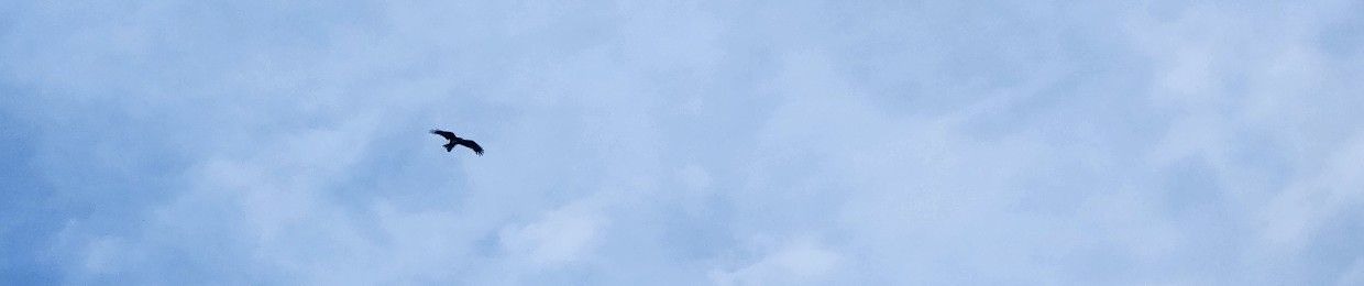 らゆにゆ